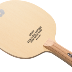 Garaydia ZLC da Butterfly na Patacho Ténis de Mesa