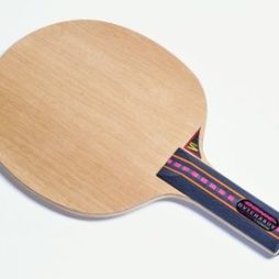 Ovtcharov Original Senso Carbon da Donic na Patacho Ténis de Mesa