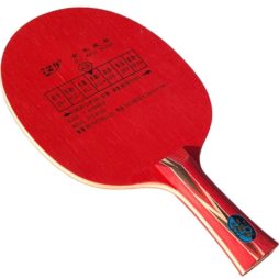 729 Red Spirit da Friendship na Patacho Ténis de Mesa