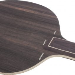 Ebenholz NCT V da Stiga na Patacho Ténis de Mesa