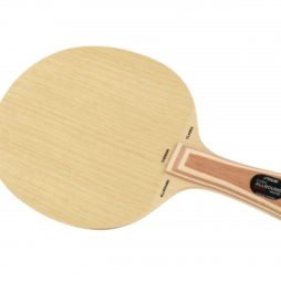 Allround Classic Carbon da Stiga na Patacho Ténis de Mesa