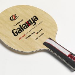 Galaxya da Yasaka na Patacho Ténis de Mesa