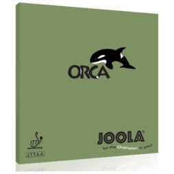 Orca da Joola na Patacho Ténis de Mesa