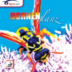 Dornenglanz da Spinlord na Patacho Ténis de Mesa